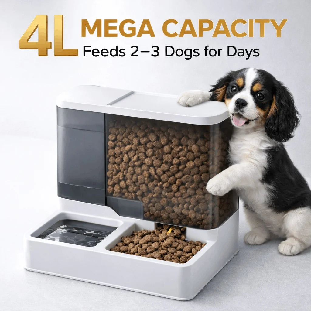 4L ultra-large capacity pet automatic feeder and water dispenser set, with transparent storage box